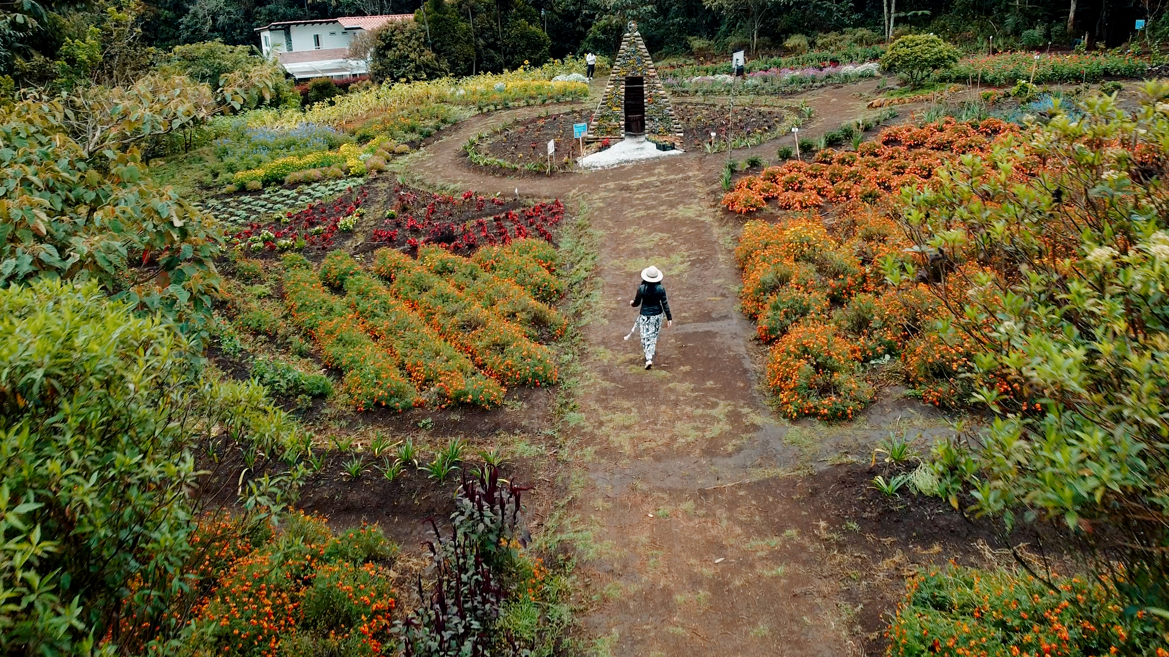 Cultivos florales sensoriales